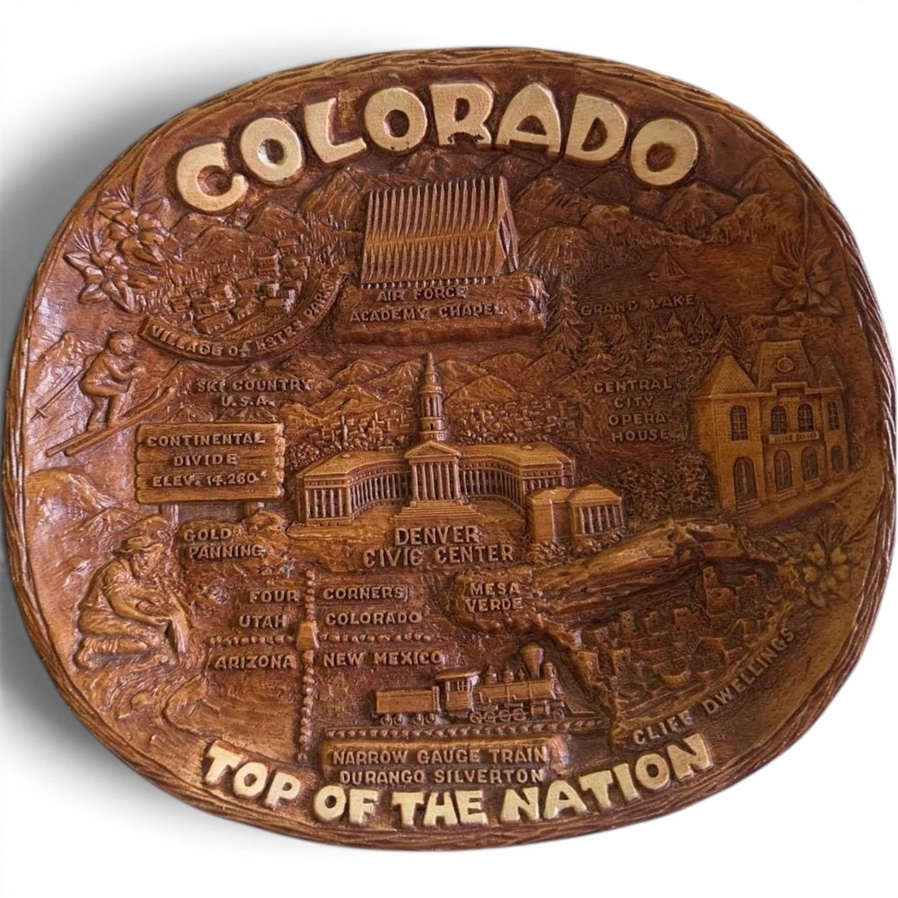 Vintage Colorado Souvenir Dish Embossed Resin Wood Look Top of the Nation 9.5in
